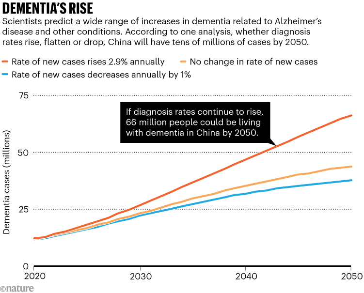 Dementia’s rise. A line chart showing the projected increase in rates of dementia in China from 2020 to 2050, according to one analysis. The chart projects that China will have tens of millions of cases by 2050 whether diagnoses rates rise, flatten or drop. If diagnosis rates continue to rise by 2.9% annually, 66 million people in the country could be living with dementia by 2050.