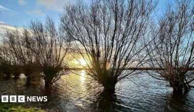 Trees with dark branches are seen silhoutted against the setting sun on the Somerset levels. The trees are surrounded by flood water