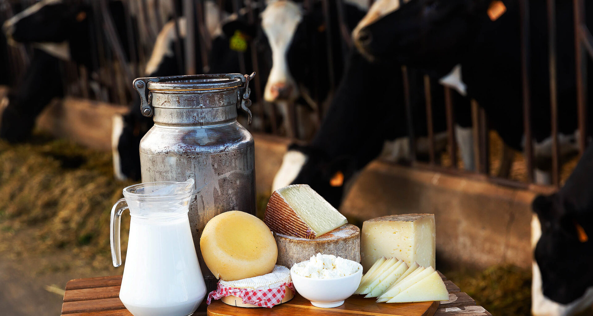 Dairy products are both good and bad for your human health