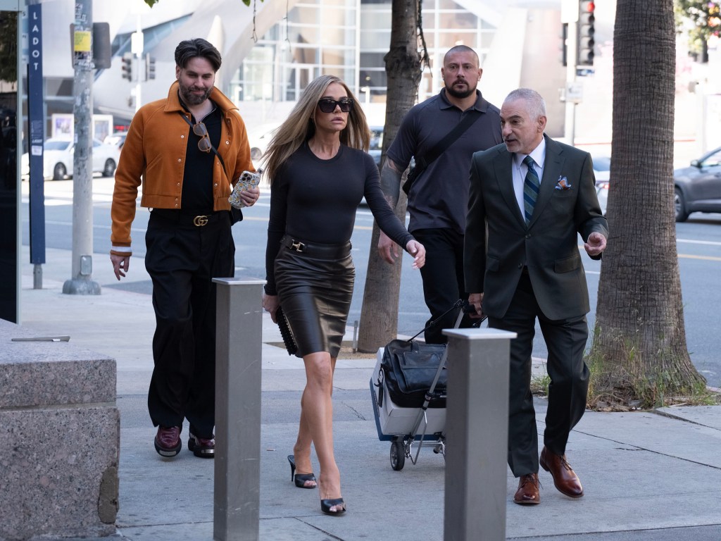 Denise Richards arrives at Stanley Mosk Court, Downtown Los Angeles