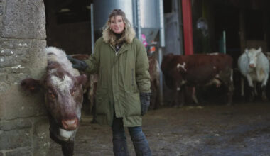 Will Our Farm Next Door return for another series?