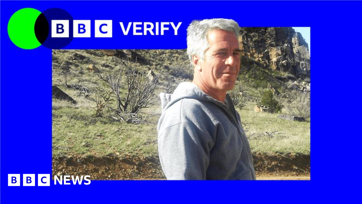 An image of Jeffrey Epstein staring at the camera wearing a grey hoodie. He is pictured in front of a hillside and the image is imposed over the BBC Verify colours and branding.