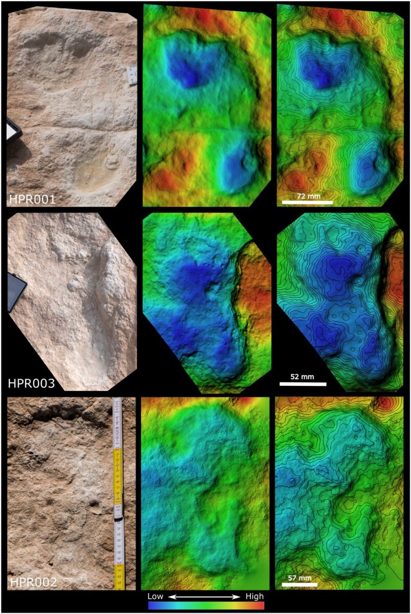 Digital Elevation Models Of Three Selected Hominin Tracks