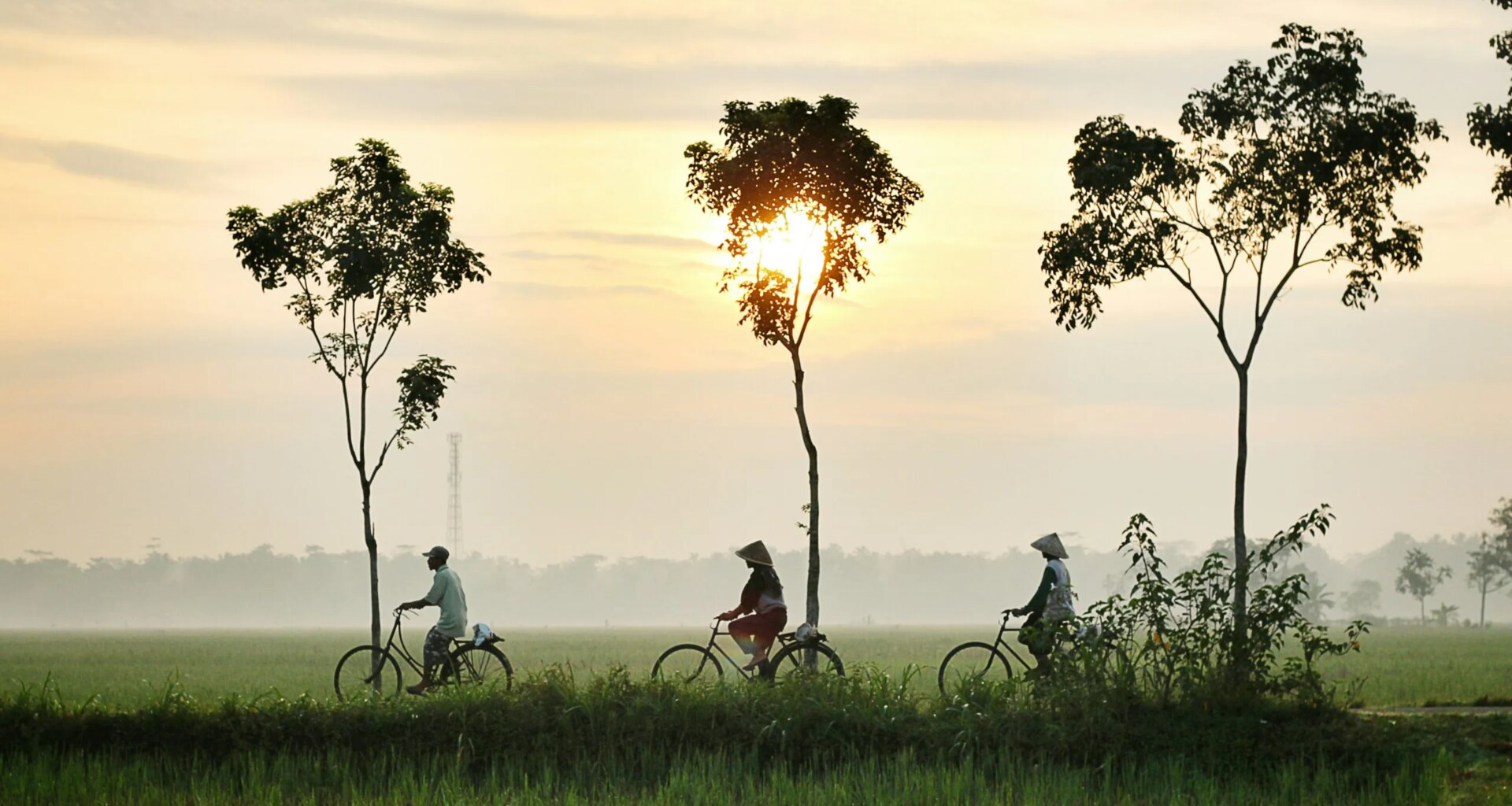 Indonesia Moves To Activate Full-Scale Carbon Market By June 2026