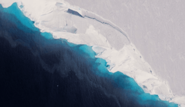 Disaster Strikes In Antarctica The Doomsday Glacier Foiled Scientists’ Bold Plan