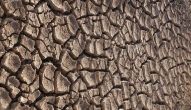 Memory and CPU shortages to push up PC prices • The Register