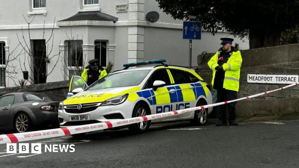 Plymouth homes evacuated after bomb disposal unit called to road