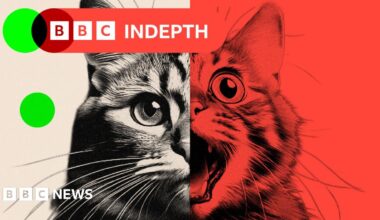 Mark Zuckerberg speaking