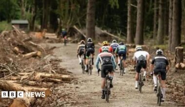 A group of cyclists on a path in the woodland.