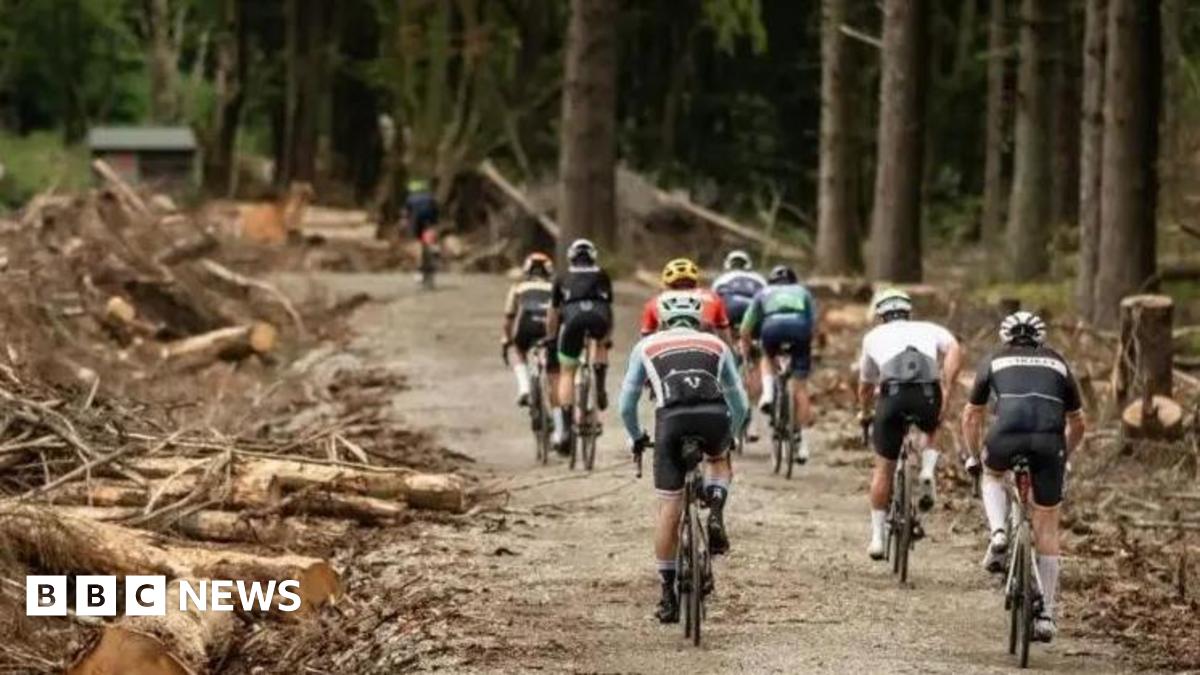 A group of cyclists on a path in the woodland.