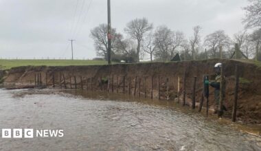 A man in a protective visored helmet and waders is pounding wooden posts into the riverbed near a rapidly eroding riverbank. He has installed over 30 posts along the bank. Water is lapping round boots as he works. A row of trees can be seen over the top of the bank.