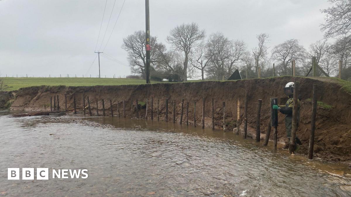 A man in a protective visored helmet and waders is pounding wooden posts into the riverbed near a rapidly eroding riverbank. He has installed over 30 posts along the bank. Water is lapping round boots as he works. A row of trees can be seen over the top of the bank.