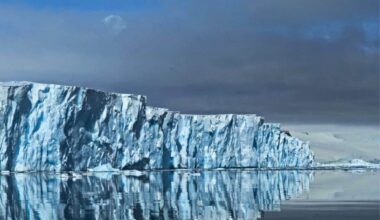 Experts Are Testing A Huge Underwater Curtain On The Ocean Floor