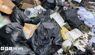 A close up image of severe fly-tipping. There are many black bags dumped, with some split open and the rubbish tipping out of them.