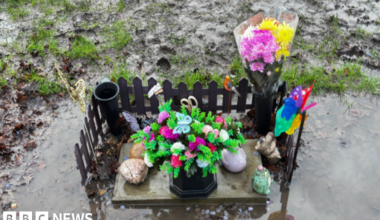 A small gravestone, surrounded by a short black fence, with flowers and stones on top of it and a large puddle all around.