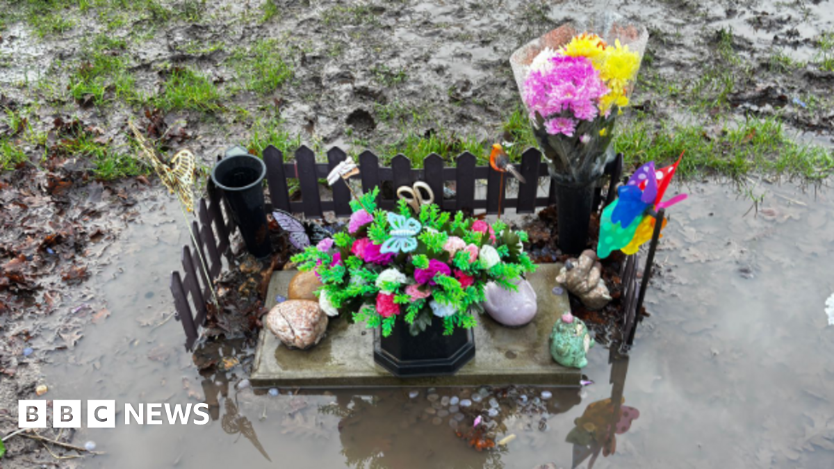 A small gravestone, surrounded by a short black fence, with flowers and stones on top of it and a large puddle all around.