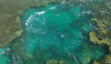 Drone image reveals hidden predator just off Aussie beach: 'The ones you don't see'