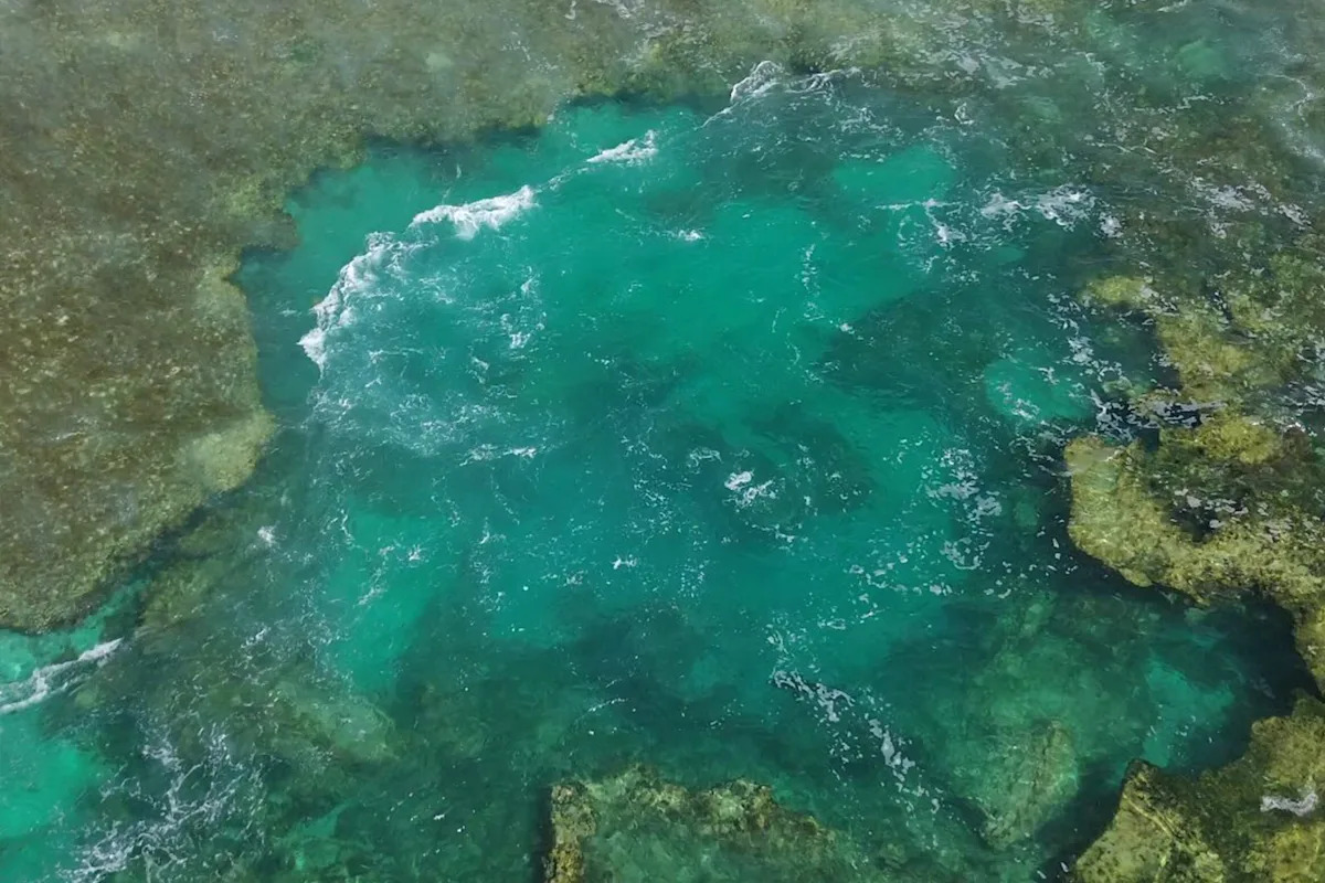 Drone image reveals hidden predator just off Aussie beach: 'The ones you don't see'