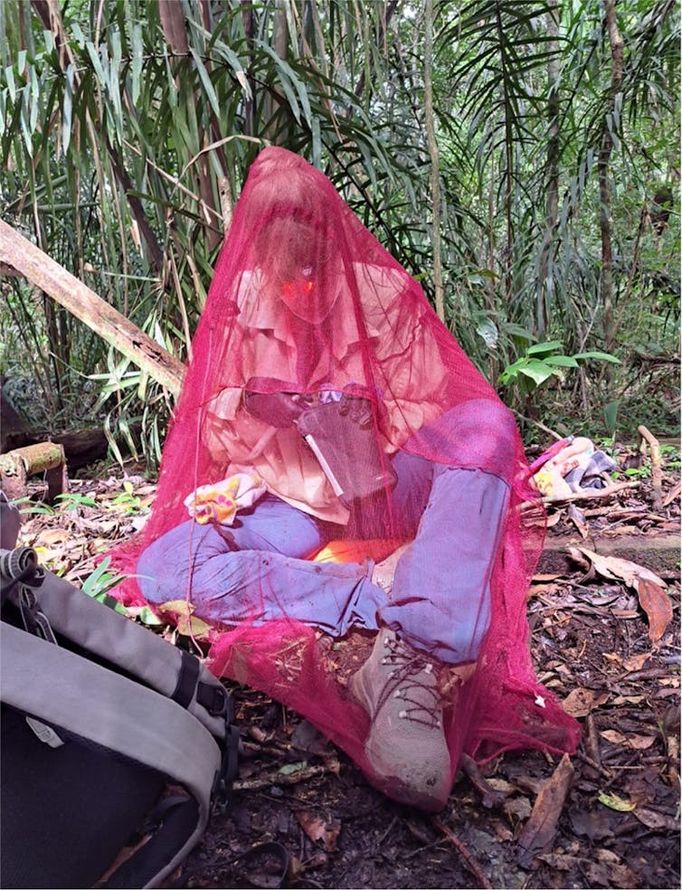 Person seated on forest floor wrapped in a mosquito net