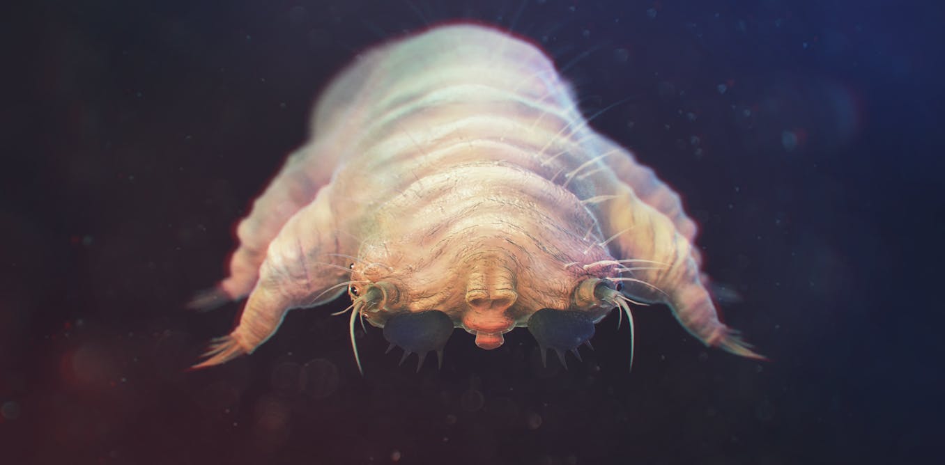 You are covered in mites – and most of the time that’s completely normal