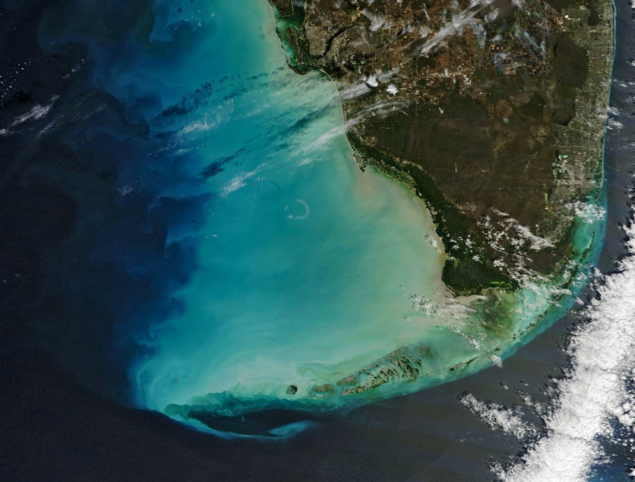 Gulf waters off southwestern Florida appear bright blue due to suspended sediment. The water swirls into intricate patterns along the bright area’s western edge as it transitions to dark blue.