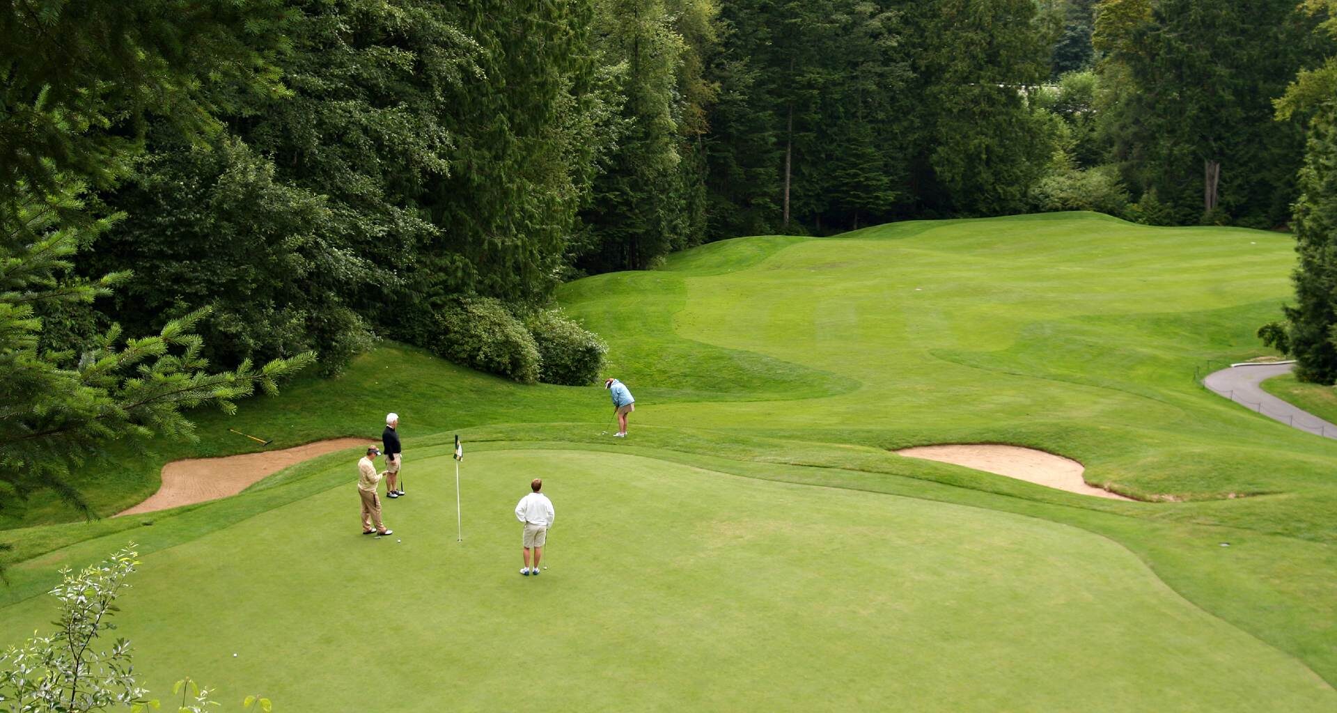 world handicap system