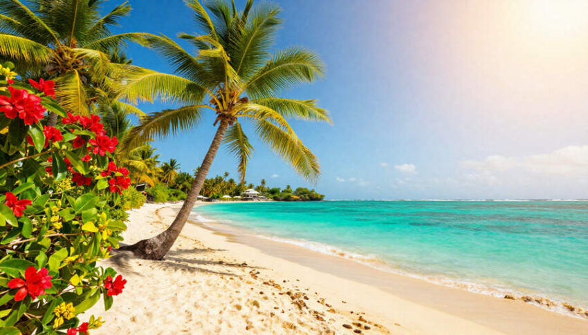 Freepik__vibrant-jamaican-beach- - travel and tour world