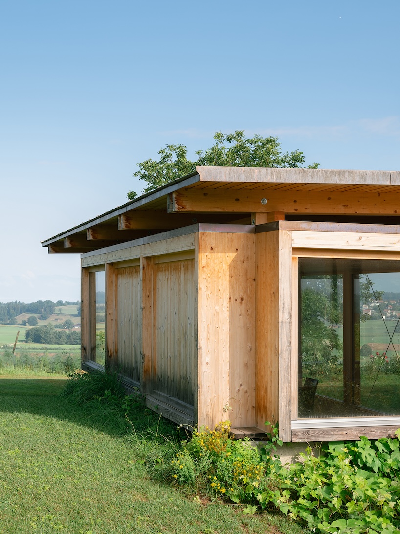 timber garden folly pavilion transitions between resting shelter and planted patio