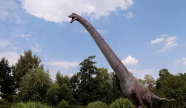 Scientists compared dinosaurs to mammals for decades but missed this key difference