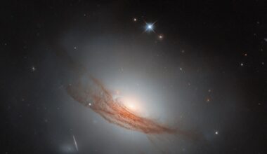 A disk-shaped galaxy. It glows brightly at the center and shines a faint white light all around it. The disk is made up of tightly-packed rings of dust, some darker and some lighter. Wide, long lanes of dark reddish dust cross the galaxy in front of its edge, blocking out some of its light; the long strands twist and break apart at each side. A couple of nearby stars and distant galaxies are also visible on the black background.