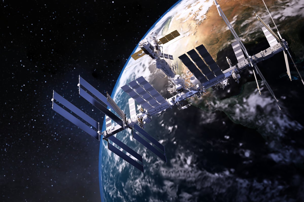 Fresh warning issued over humans reproducing in space - The Independent