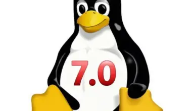Tux for Linux 7.0