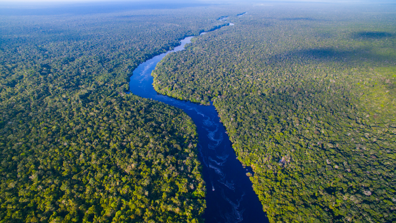 Johan Eliasch’s Amazon land purchase shocked observers