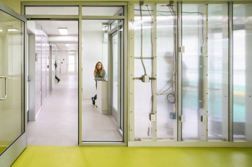 Communal area within the housing