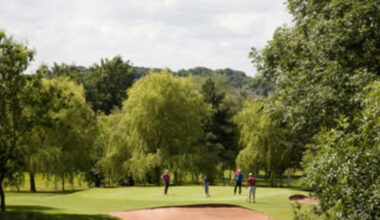 What betrayal of these golf club members reveals about the game