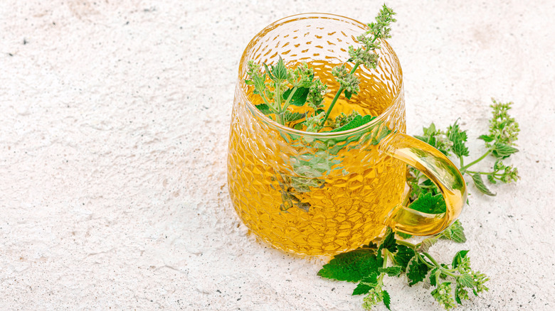 A cup of lemon balm tea with mint sprigs on a white background