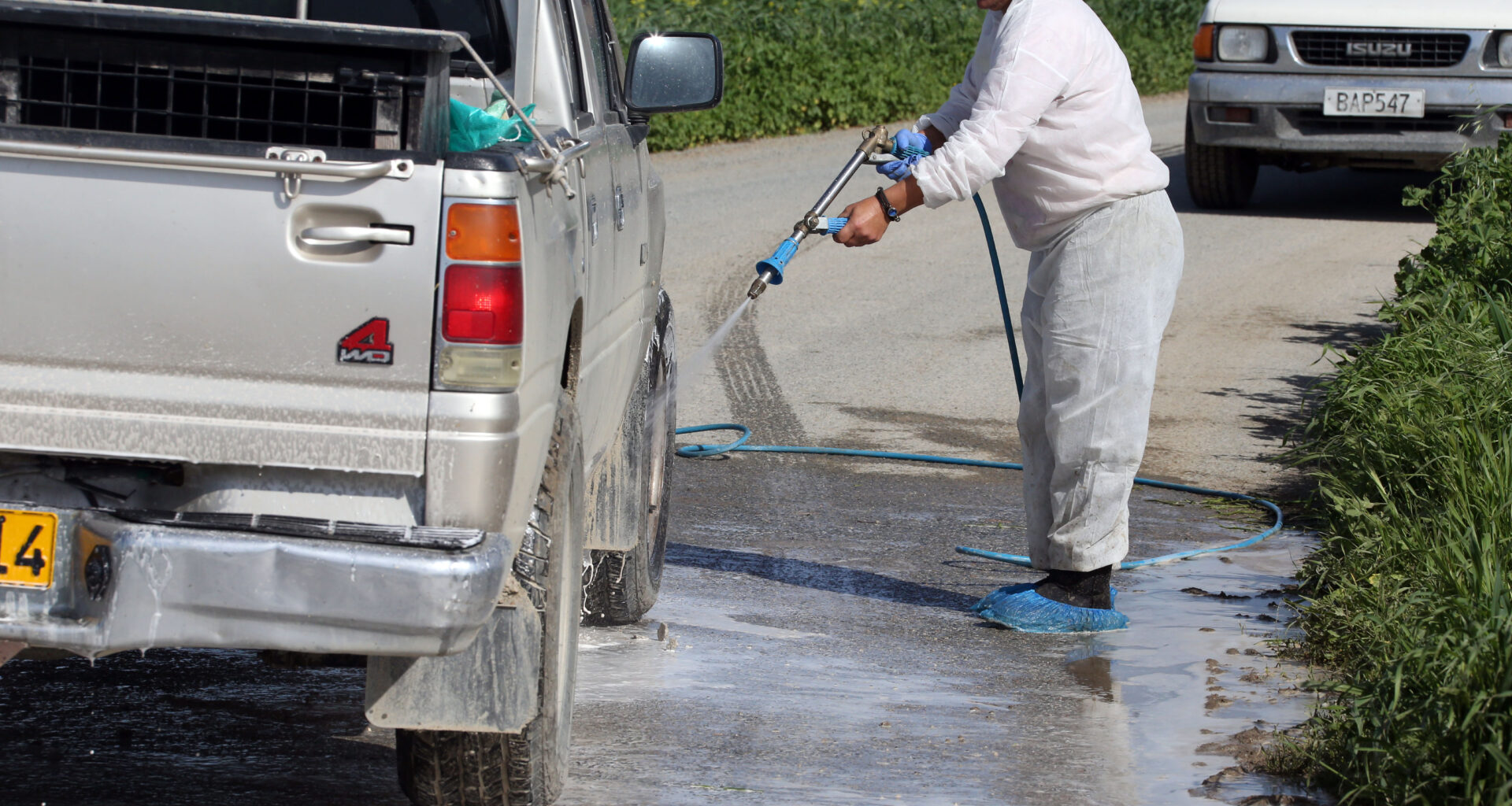 cover Foot-and-mouth outbreak triggers quarantine and mass culling in Larnaca