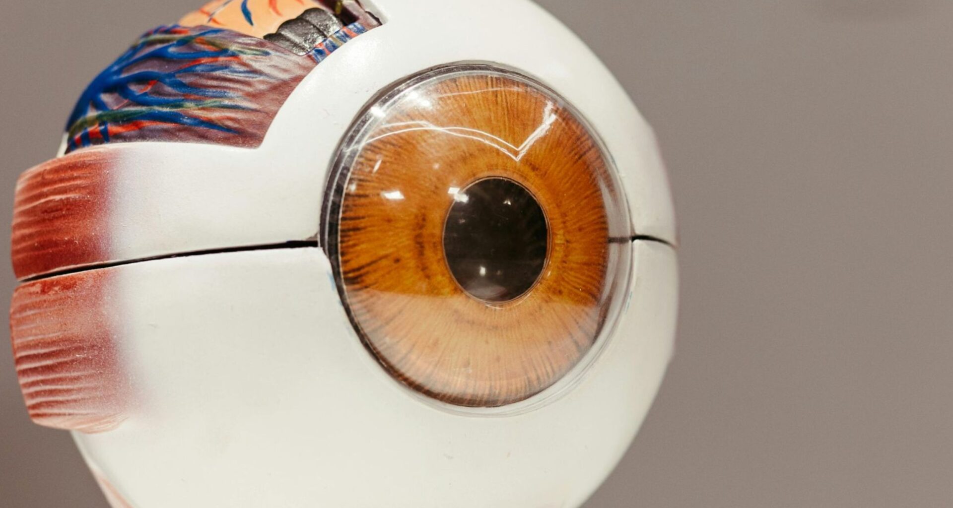 Gel that costs pennies has restored sight to 7 out of 8 patients