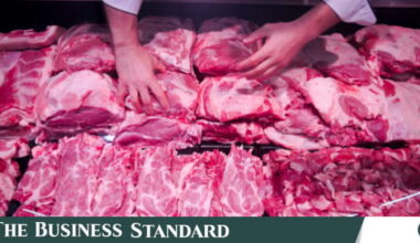 Oil, chicken, rice prices increase while vegetable market remains stable