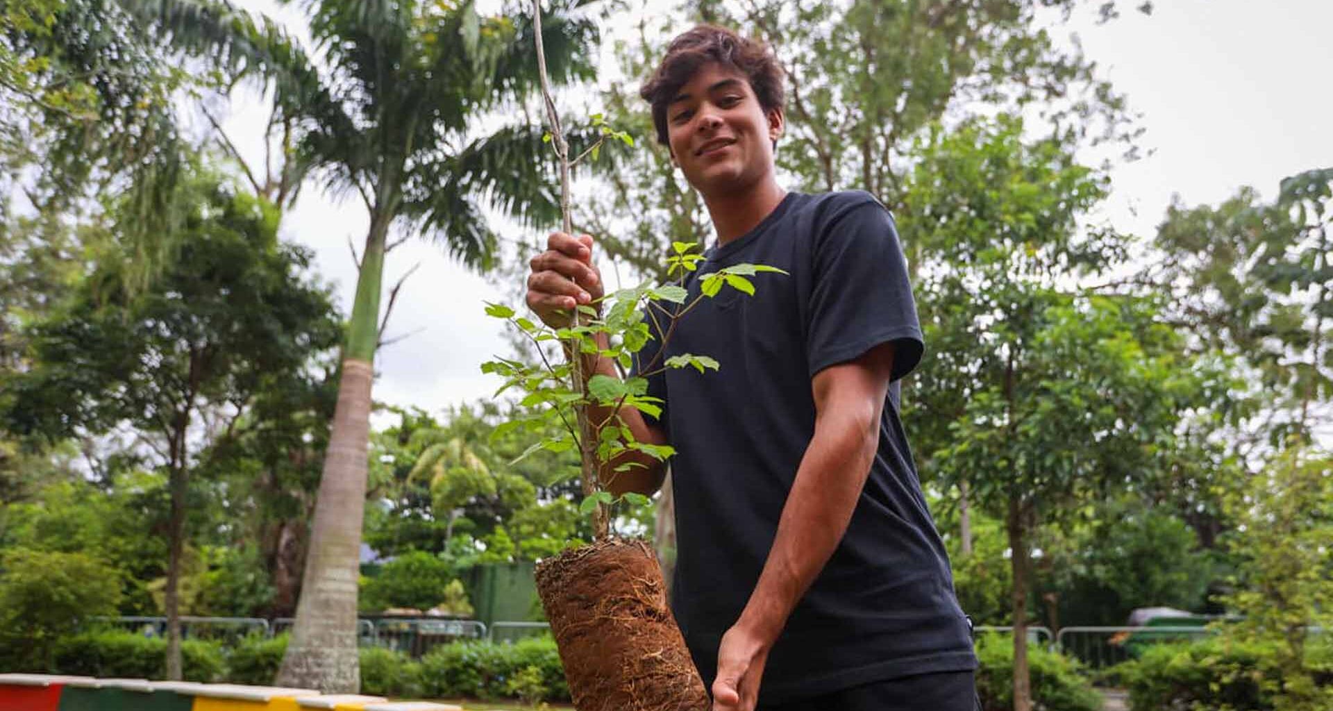 Guto Miguel plants a tree in Rio de Janeiro.