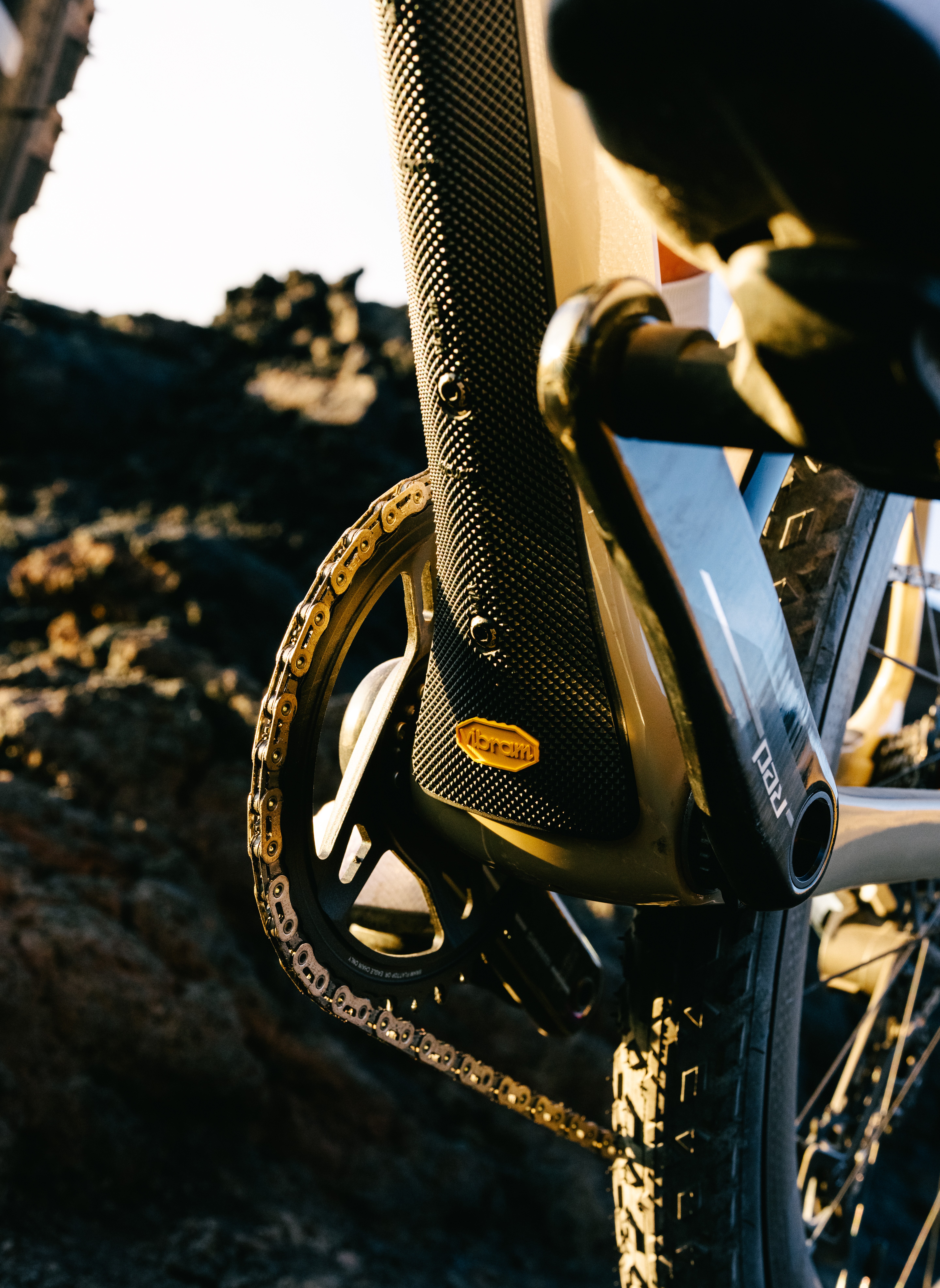 Basso Palta III downtube protector