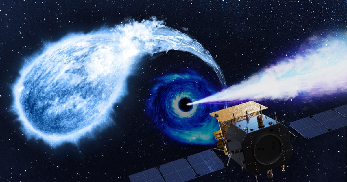 white dwarf black hole_CAS Sci Visual