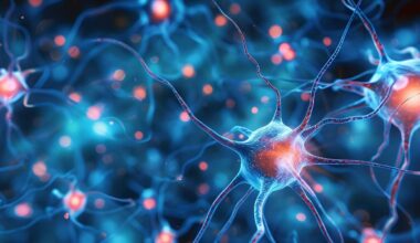 Scientists discover a liver-to-brain signal that mimics exercise benefits