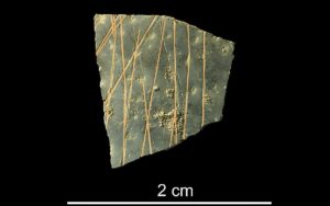 60,000-year-old ostrich eggshell engravings reveal humanity’s earliest geometric designs