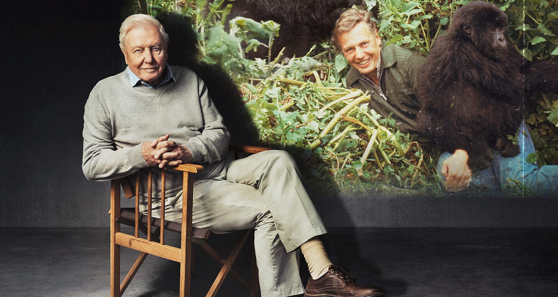 Sir David Attenborough's 100th Birthday celebrated across the BBC with special programming