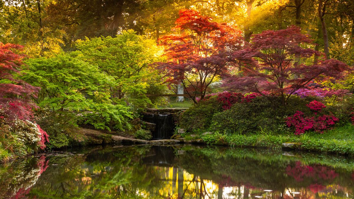 These beautiful winning spring and summer photos were shot with the same DSLR – a camera that's now 8 years old