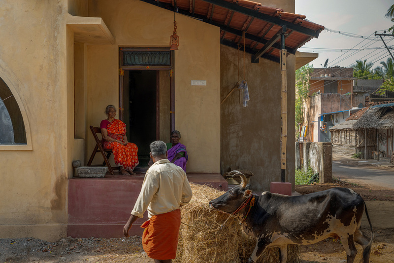 thousands of reclaimed bricks shape rural residence amid agricultural fields in india