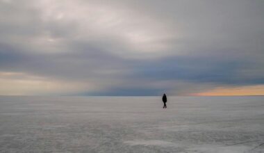 Loss, Trauma, and the Book of Job