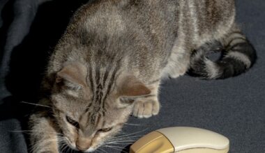 Could AI Hijack the Human Psyche?