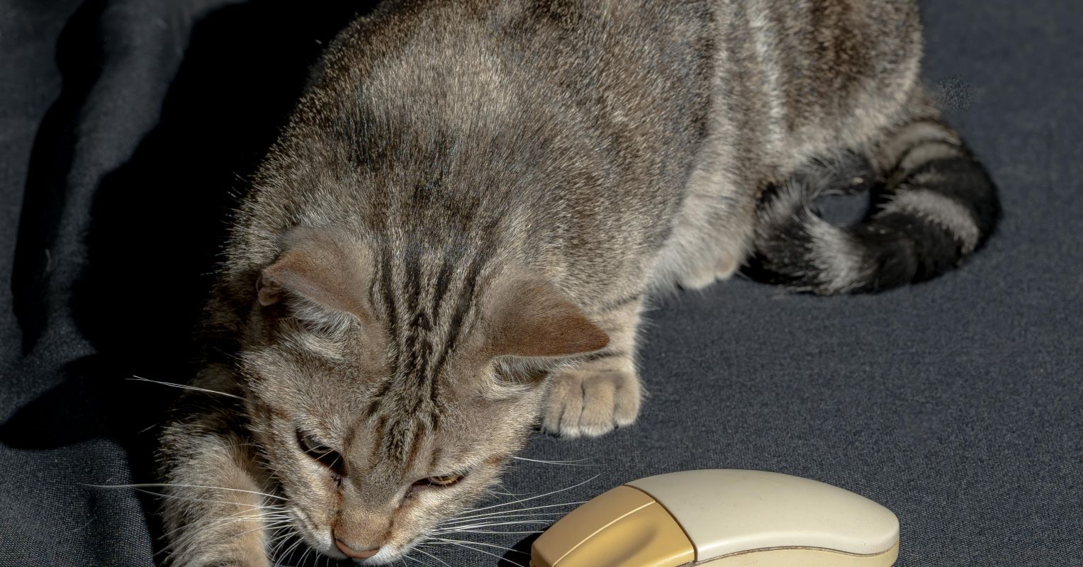 Could AI Hijack the Human Psyche?